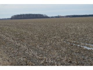 Property photo 29 - 173 +/- Acres Offered in 3 Tracts - Ohio Farmland